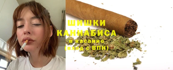 ПСИЛОЦИБИНОВЫЕ ГРИБЫ Аркадак