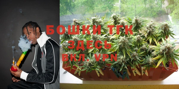ПСИЛОЦИБИНОВЫЕ ГРИБЫ Аркадак