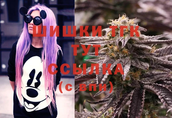 ПСИЛОЦИБИНОВЫЕ ГРИБЫ Аркадак
