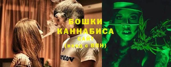 ПСИЛОЦИБИНОВЫЕ ГРИБЫ Аркадак