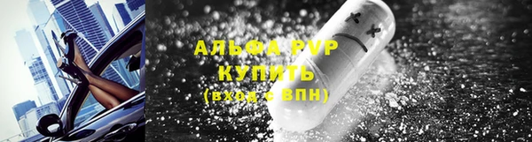 ПСИЛОЦИБИНОВЫЕ ГРИБЫ Аркадак