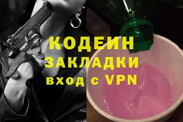 шишки Приозерск