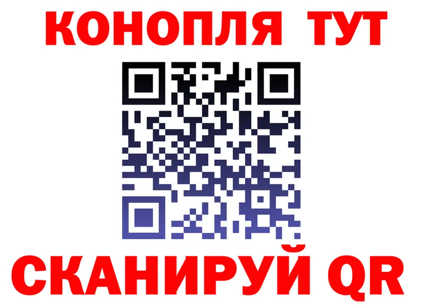 ГАШ Premium tor это omg Темников