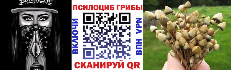цены наркотик  Темников  Галлюциногенные грибы GOLDEN TEACHER 